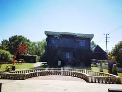 -金山农民画村-枫泾波兰倒置屋
