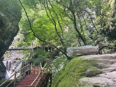 -牛背梁国家森林公园