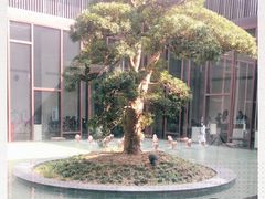 -上海崇明金茂凯悦酒店