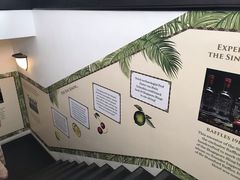 门面-Long Bar(莱佛士酒店)