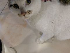 -小赵小吃(城西总店)