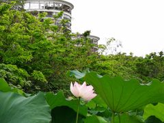 -金山公园