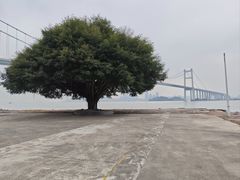 -威远炮台