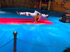 -烟台海昌鲸鲨海洋公园