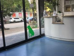 -伟伟宠物医院·CT影像中心·瑞派犬猫综合性门诊(汉口总院)