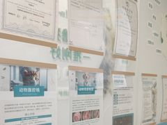 -美联众合动物医院·24h京西诊疗中心