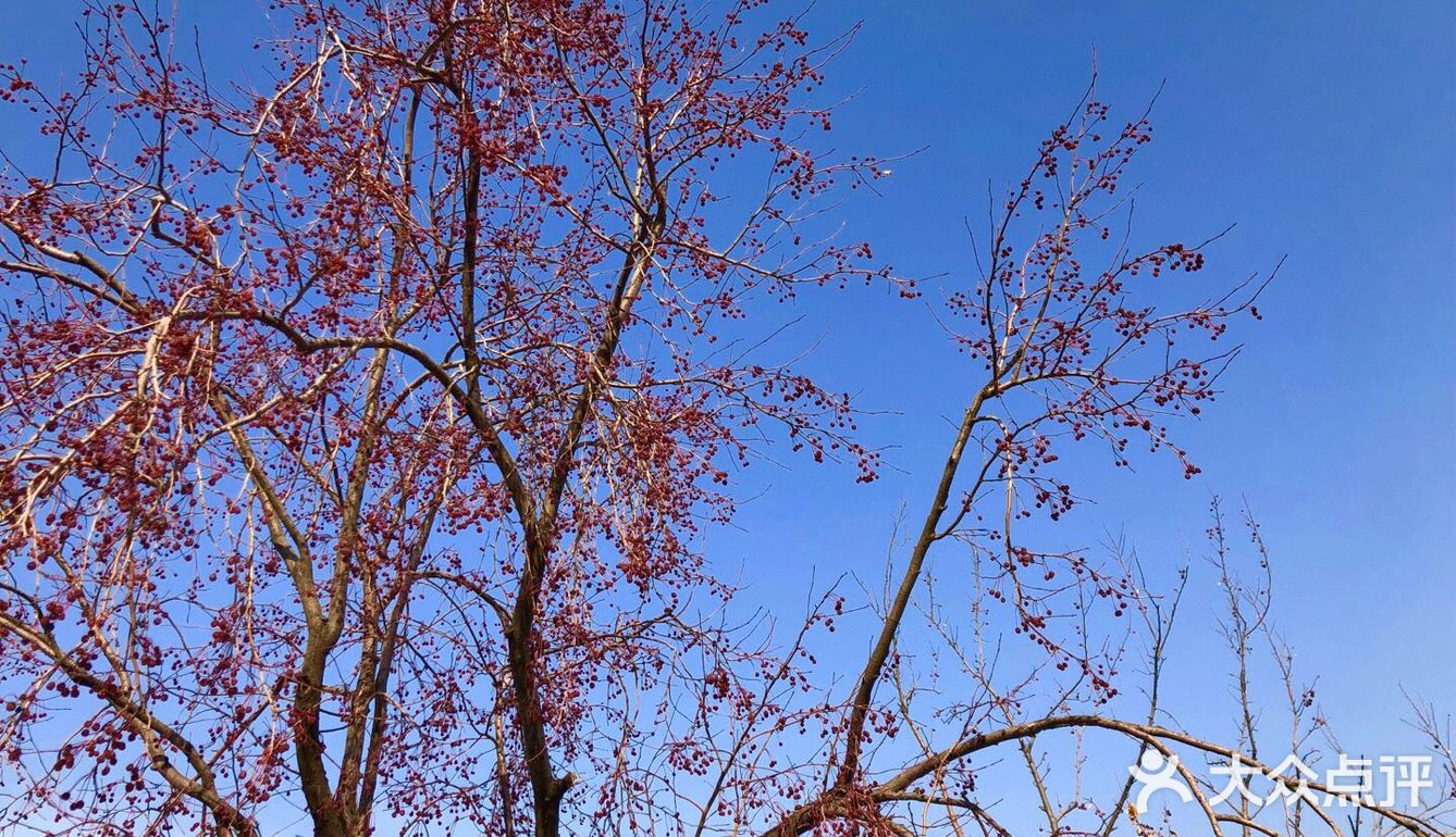 还会再去的古北水镇，爱了这地方[爱心]