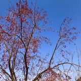 还会再去的古北水镇，爱了这地方[爱心]