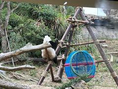 -宁波野生动物园