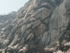 -北京凤凰岭