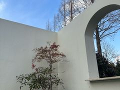 -芭东小镇温泉