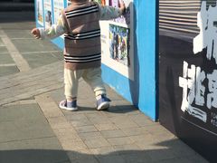 -美的鹭湖森林度假区