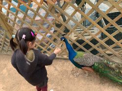 -萌宠亲子动物乐园(槐房万达店)