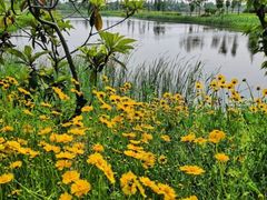 -松山湖梦幻百花洲