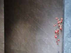 -星河湾温泉洗浴酒店