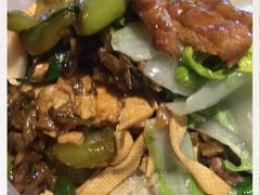 -刘胖子家常菜·蹄花焖藕(中央花园店)