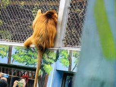 -西安秦岭野生动物园