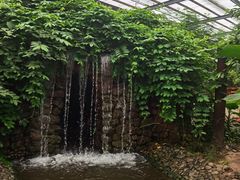 -呀路古热带植物园
