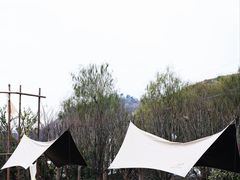 -四明山国家森林公园