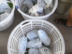 -马陆小张葡萄园农家乐