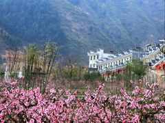 -巴马洞天福地景区