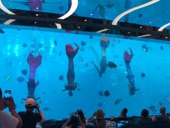 -瑞德姆美人鱼海底演艺主题餐厅(亚龙湾店)