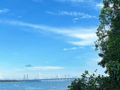 -宝安西湾红树林湿地公园