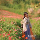 江浙沪的小京都｜无锡灵山小镇拈花湾梵天花海拍照功略