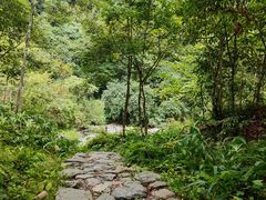-西岭雪山大飞水景区