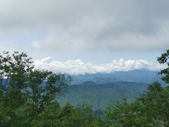 -白草畔自然风景区