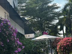 -花神·轻食简餐·咖啡馆·花卉绿植(荷兰花卉小镇店)