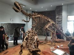 -自贡恐龙博物馆