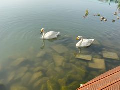 -朝阳公园