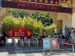 -西双版纳原始森林公园