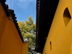 -西园寺素食(西园弄戒幢律寺店)