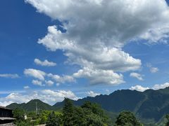 -老鲍农家乐