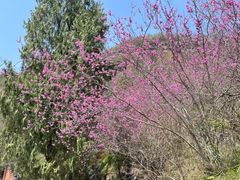 -天台山赤城山景区