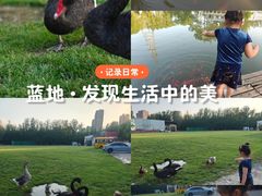 -蓝地时尚庄园(北京清河营地铁站店)