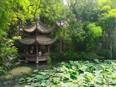 -三苏祠