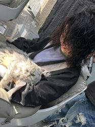 -风生造型