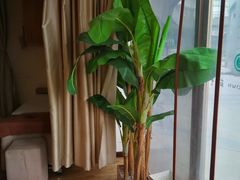 -筋骨堂热敷推拿按摩(枫林绿洲店)