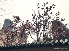 -港汇恒隆广场