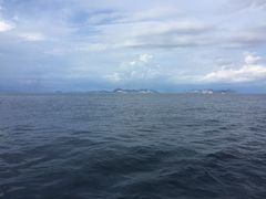 -上海市徐汇区口腔医院