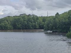 -深圳湾公园(南山区)
