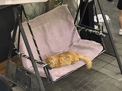 -后海16号·北京私房菜