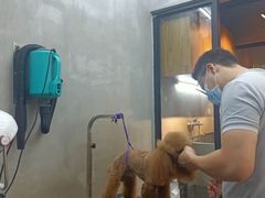 -PETKIT小佩宠物·低压洗护(国顺东路店)