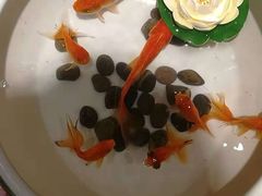 -小龙坎火锅(双林店)
