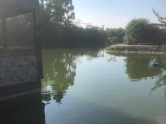 -老杨砂锅鱼庄