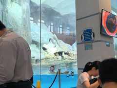 -帝企鹅自助餐厅•儿童岛•真企鹅(长隆企鹅酒店)