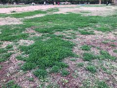 -嘉北郊野公园